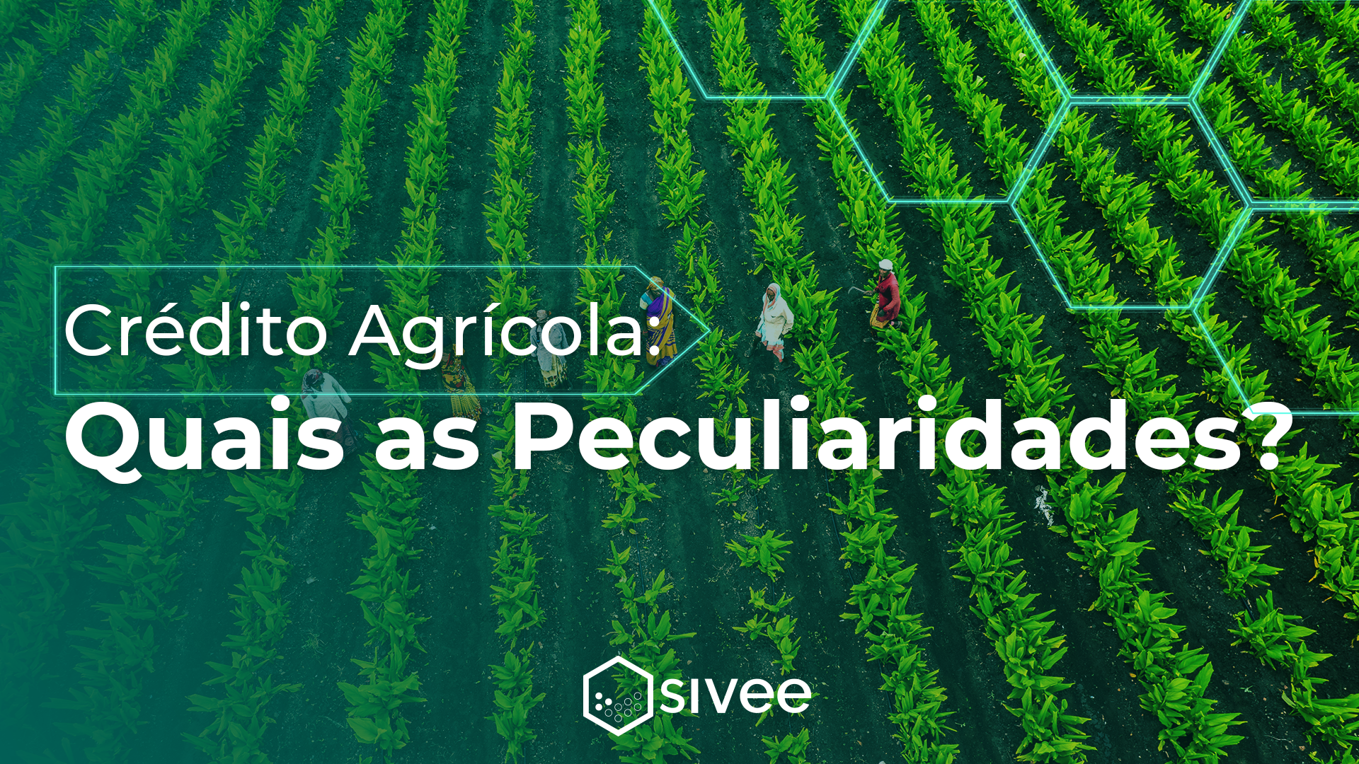 peculiaridades do crédito agrícola